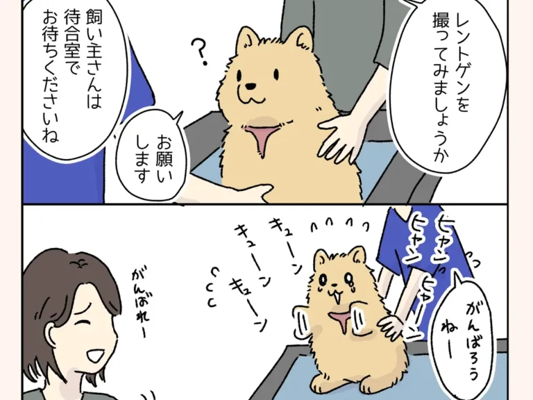 動物病院の犬あるあるの漫画