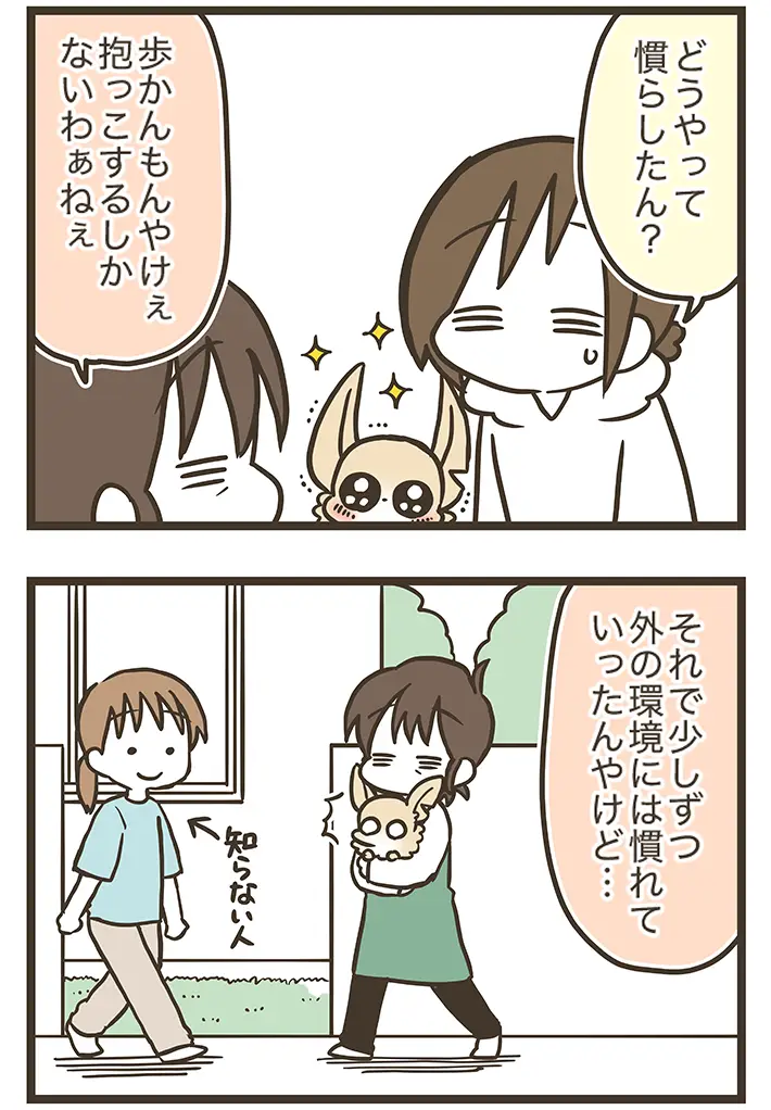 なおたろーさんによるエッセイ漫画『おかんとわんこ』の画像
