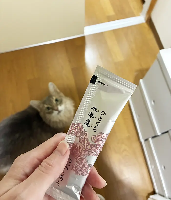 スティック状のようかんを見つめる猫の写真