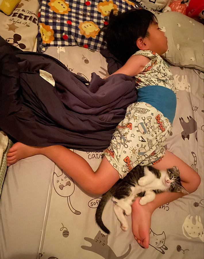 4歳児と子猫の寝姿を写した画像