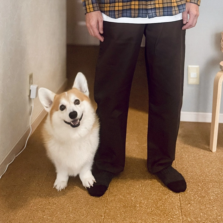 コーギーと飼い主の夫が並んで写真に写る画像
