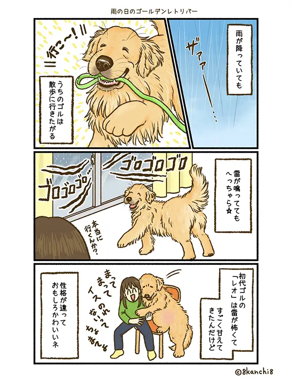 雨の日も散歩に行きたいゴールデンレトリバーのエッセイ漫画