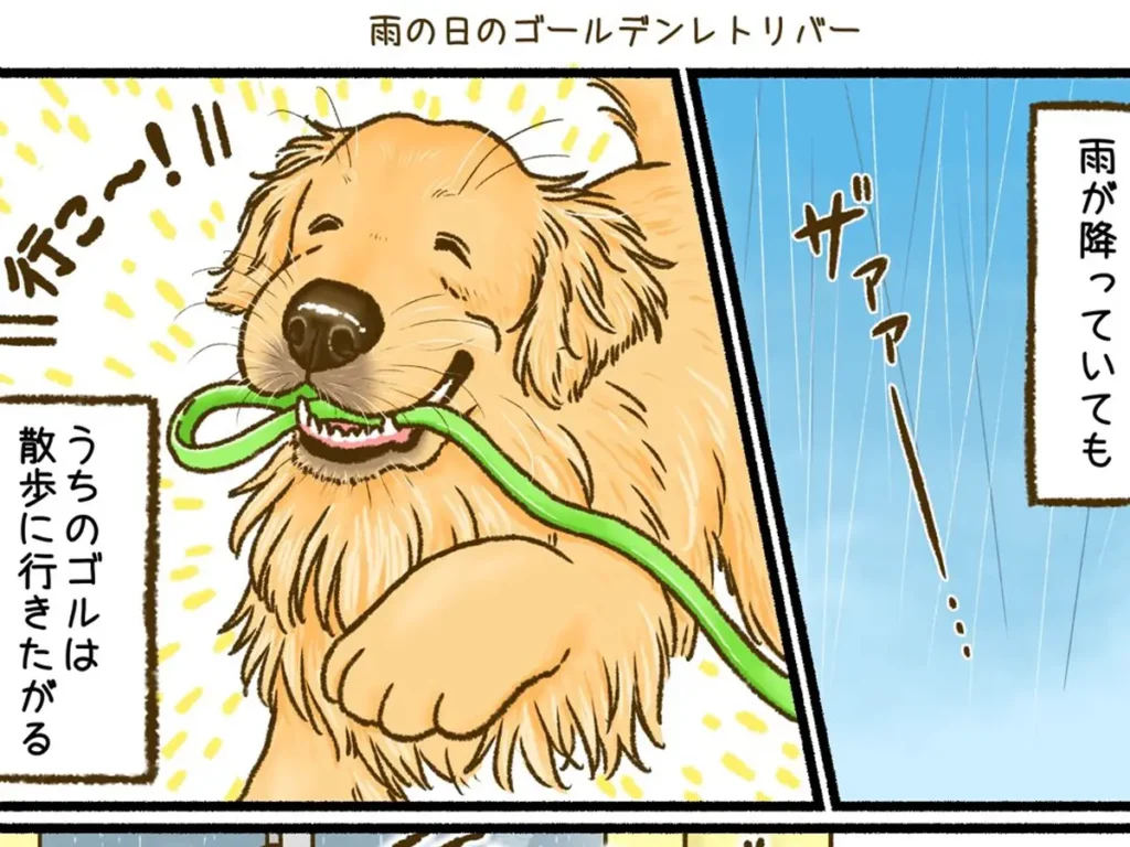 雨の日も散歩に行きたいゴールデンレトリバーのエッセイ漫画