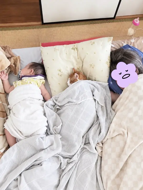 川の字になって寝る親子と猫の写真