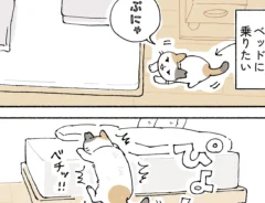 AKRさんの連載『ネムちゃんのおかげで眠れません』第2話の画像