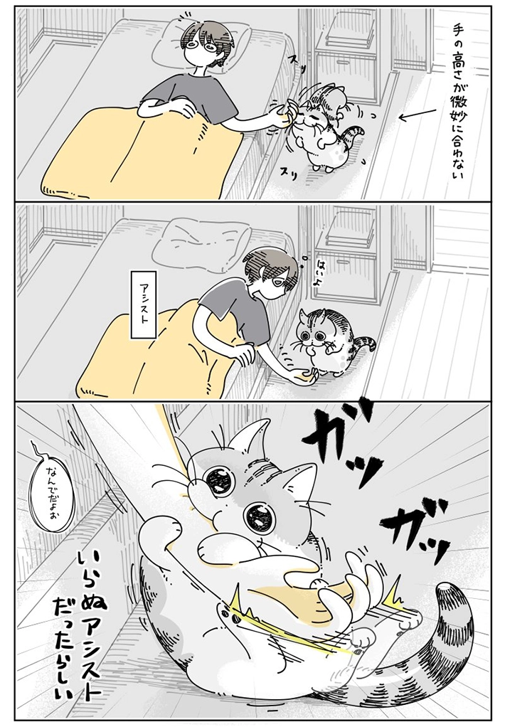 キュルZさんの漫画画像
