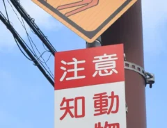 北海道の道路標識の写真