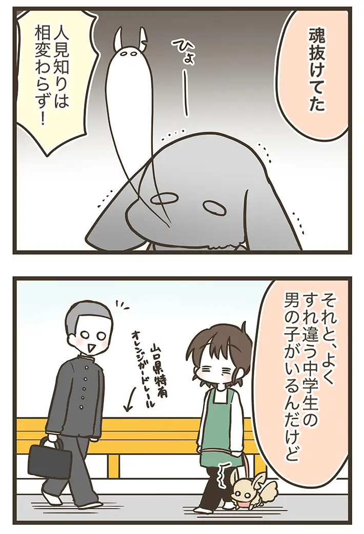 なおたろーさんによるエッセイ漫画『おかんとわんこ』第5章『おかんとりんちゃんとお散歩』その2の画像