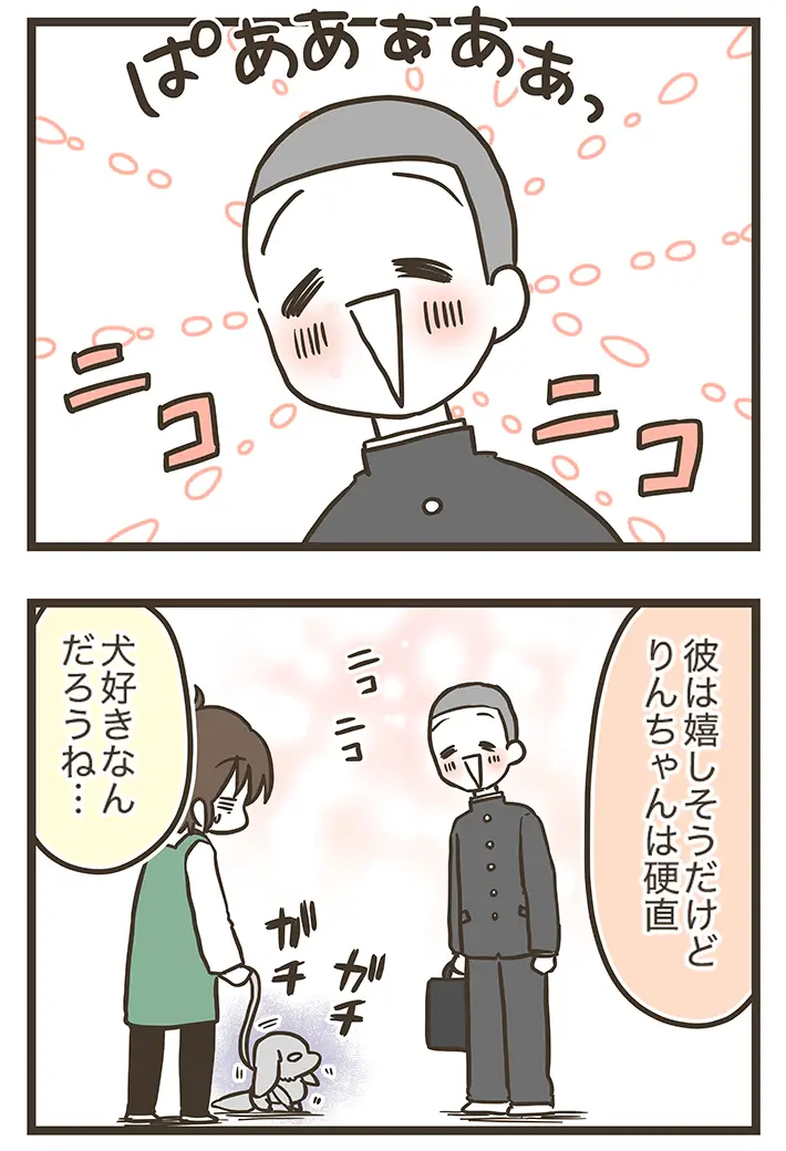 なおたろーさんによるエッセイ漫画『おかんとわんこ』第5章『おかんとりんちゃんとお散歩』その2の画像