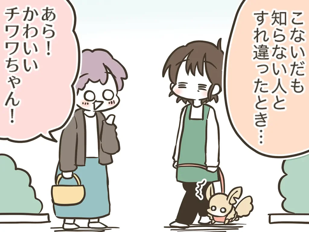 なおたろーさんによるエッセイ漫画『おかんとわんこ』第5章『おかんとりんちゃんとお散歩』その3の画像