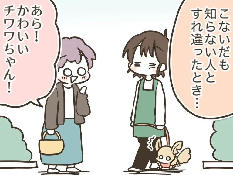 なおたろーさんによるエッセイ漫画『おかんとわんこ』第5章『おかんとりんちゃんとお散歩』その3の画像