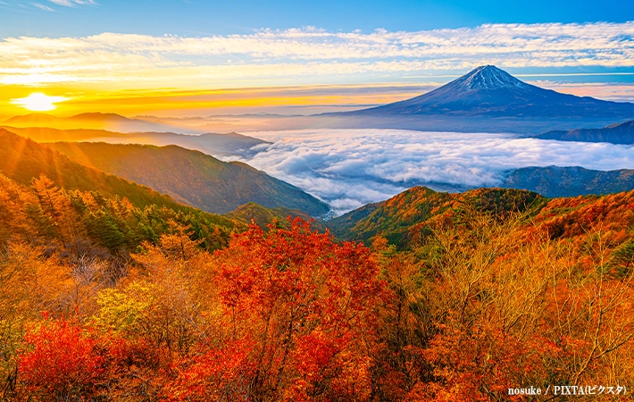 富士山と紅葉の画像