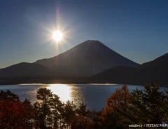 富士山と紅葉の画像