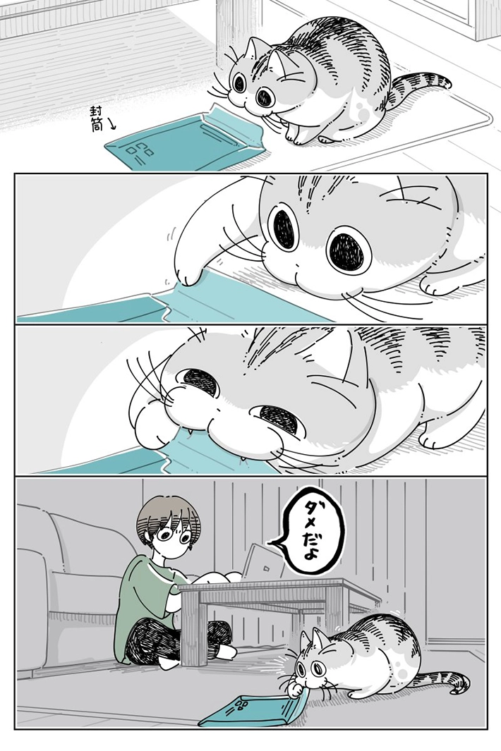 キュルZさんの漫画画像