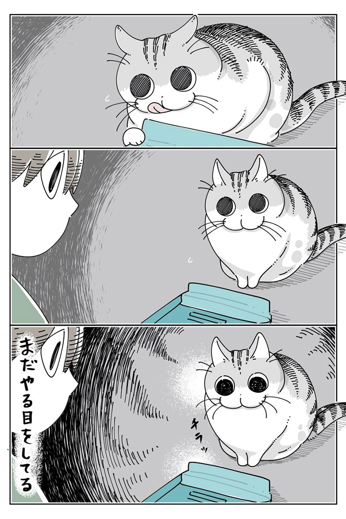 キュルZさんの漫画画像