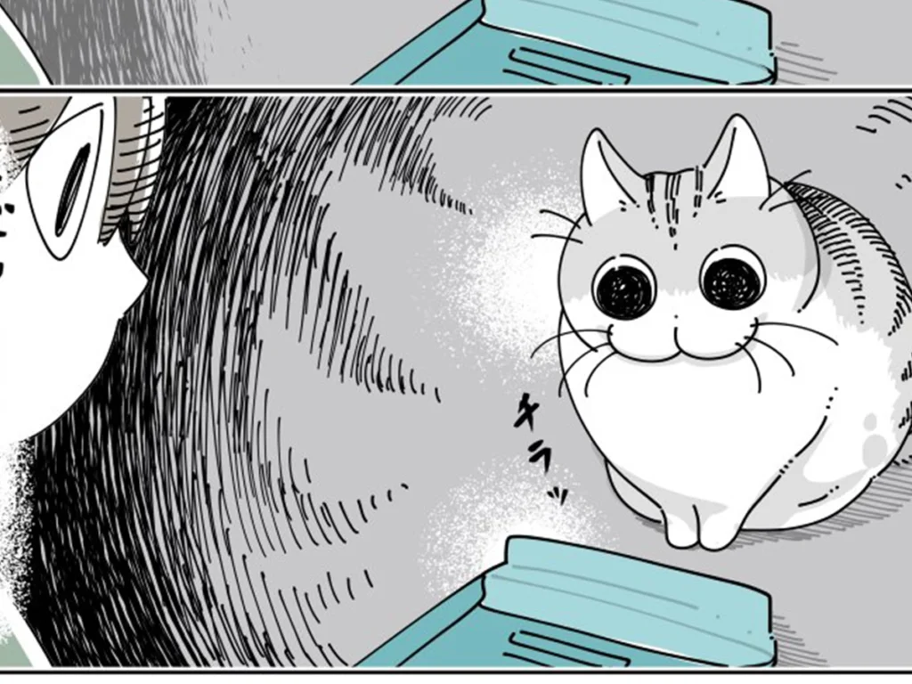 キュルZさんの漫画画像