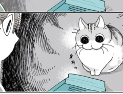 キュルZさんの漫画画像