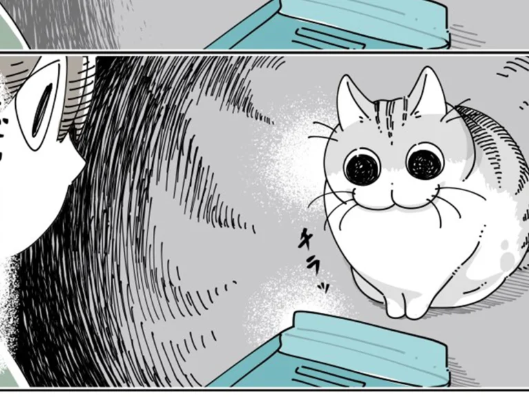 キュルZさんの漫画画像