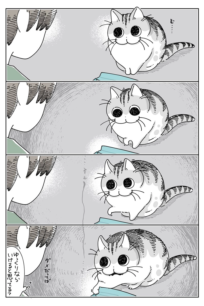 キュルZさんの漫画画像