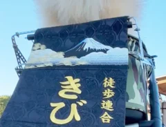 ペットカートに乗るポメラニアンの写真