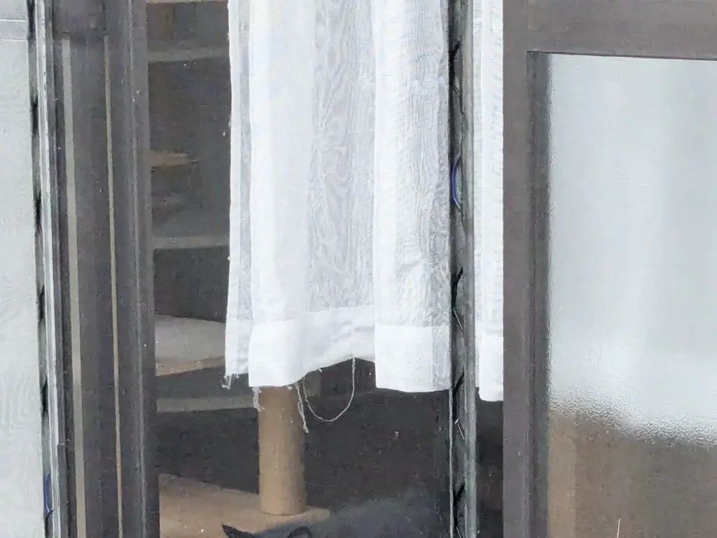 一軒家の窓の写真
