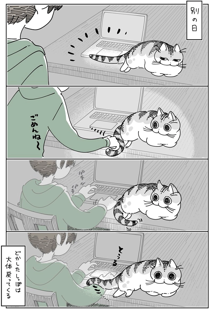 キュルZさんの漫画画像