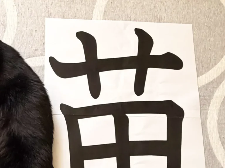 けものへんになる黒猫の写真