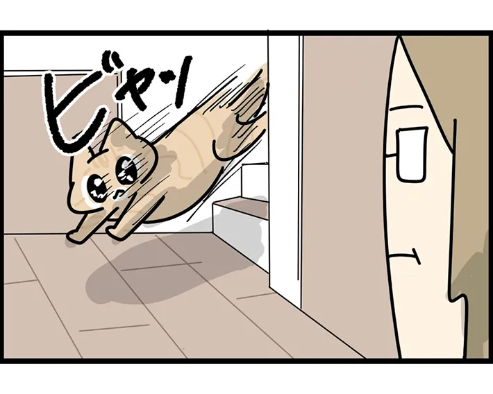 ririca_nekoさんの漫画6