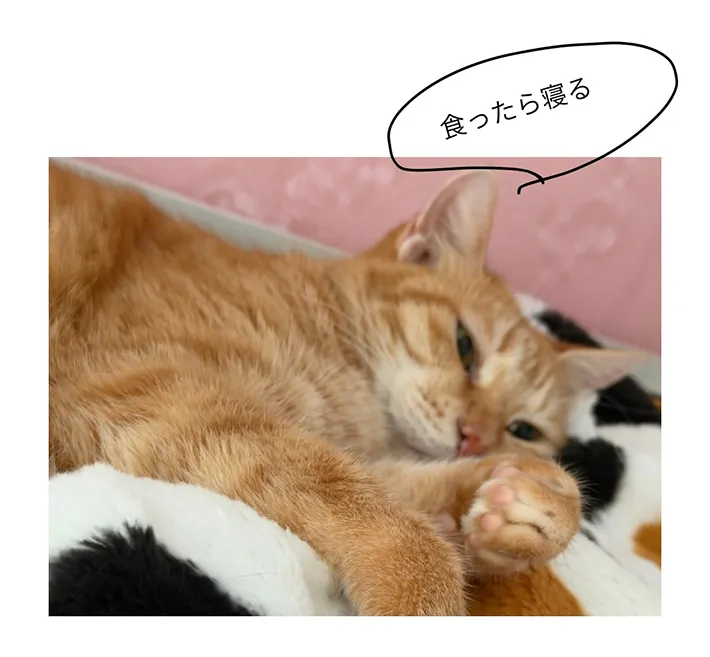 ririca_nekoさんの漫画9