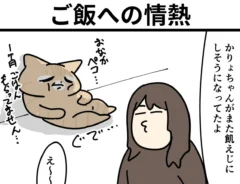 ririca_nekoさんの漫画