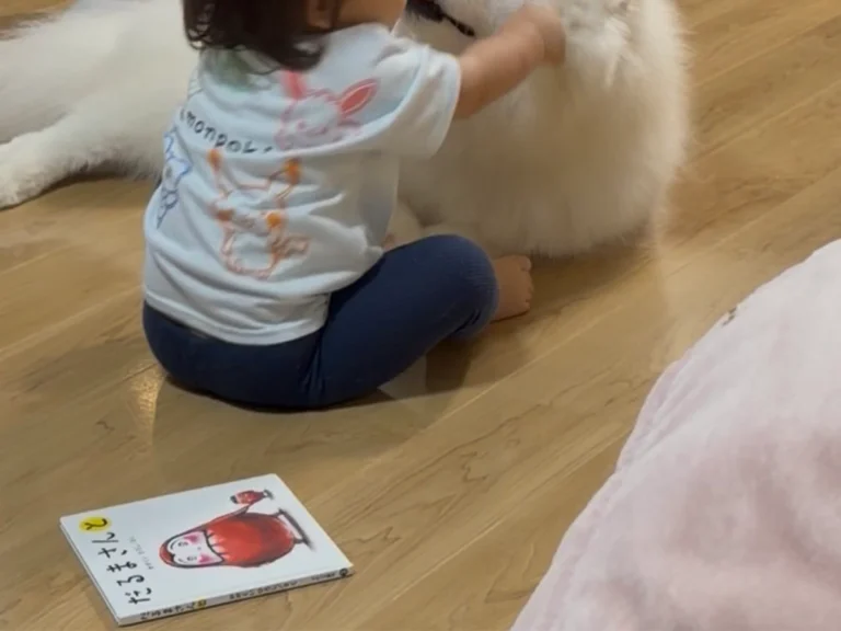 子供とサモエドが一緒に写る画像
