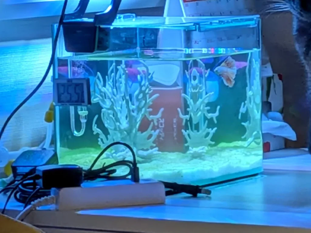 水槽が写った写真