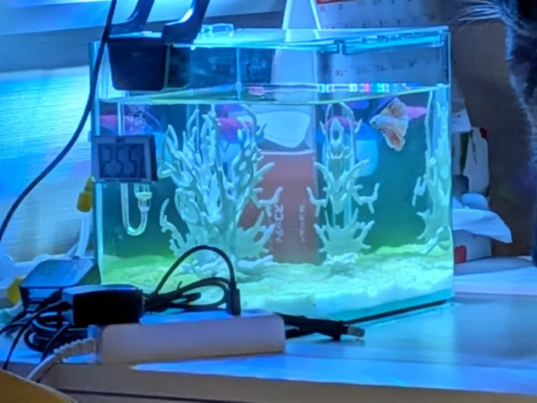 水槽が写った写真