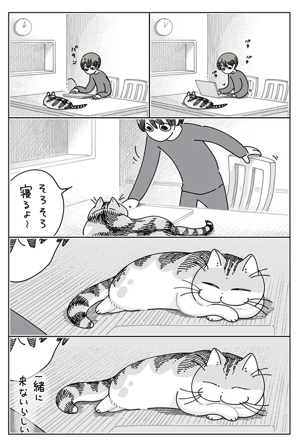 猫のキュルガの漫画