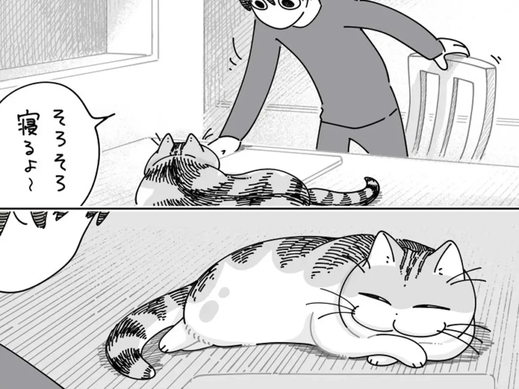 猫のキュルガの漫画