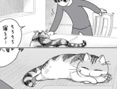 猫のキュルガの漫画