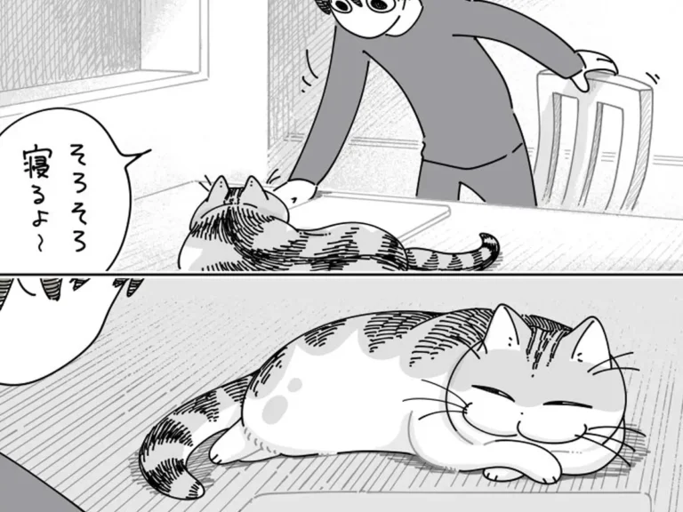 猫のキュルガの漫画