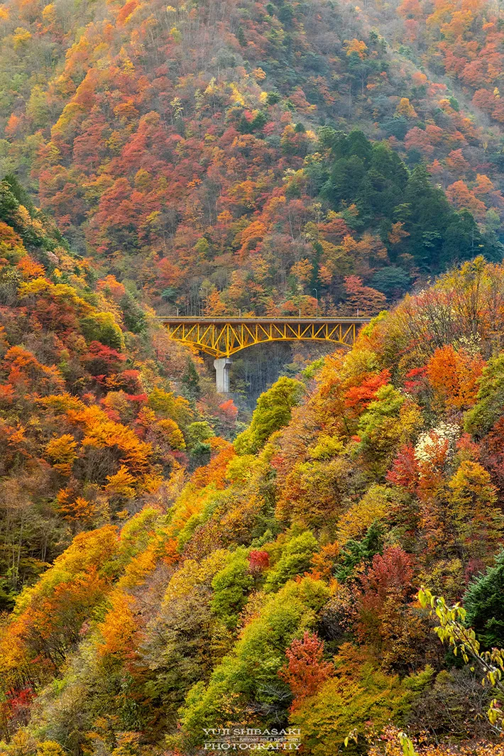 Yuji Shibasakiさん撮影・秩父市 雁坂大橋の写真