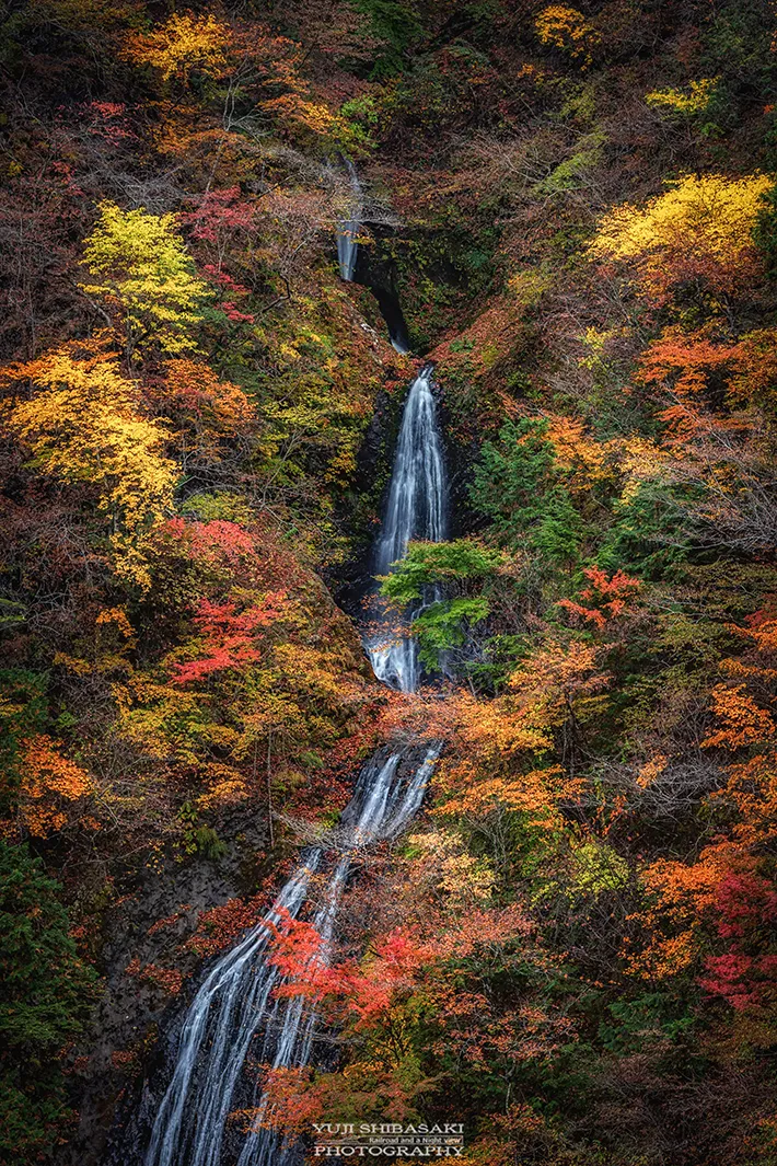 Yuji Shibasakiさん撮影・小鹿野町 丸神の滝