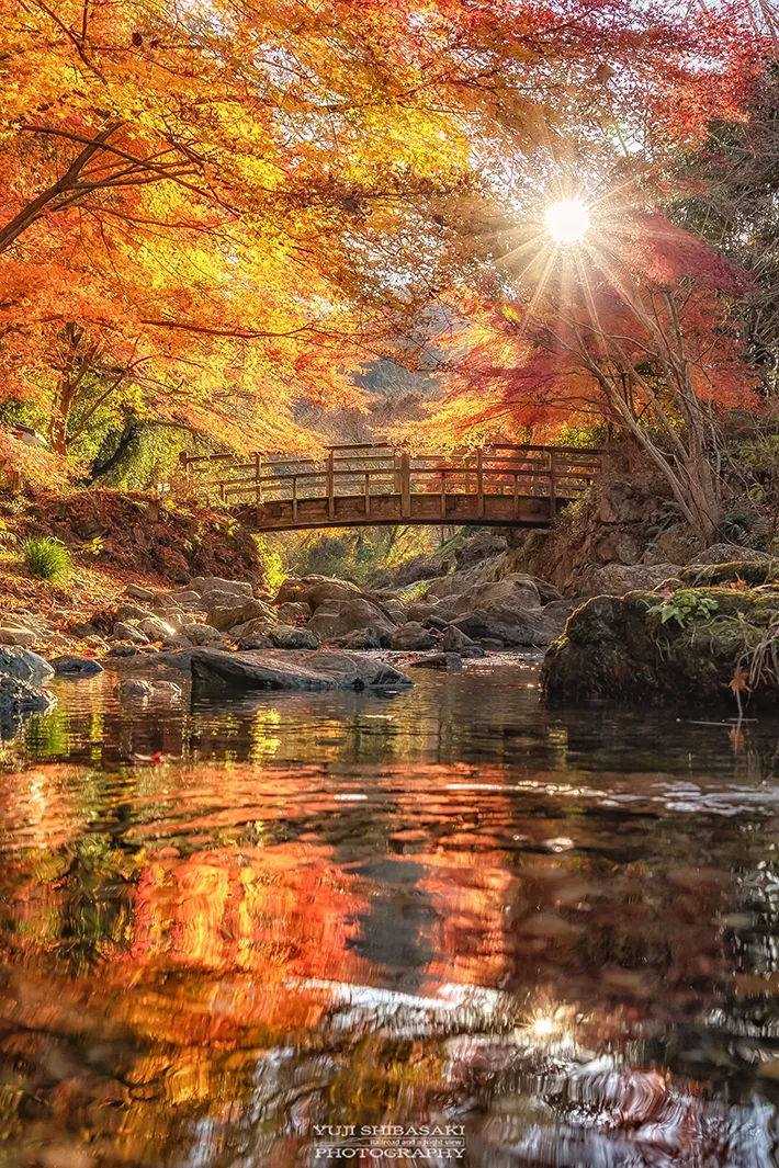 Yuji Shibasakiさん撮影・寄居町 日本の里