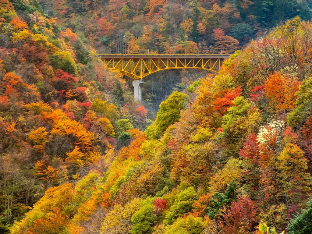 Yuji Shibasakiさん撮影・秩父市 雁坂大橋の写真