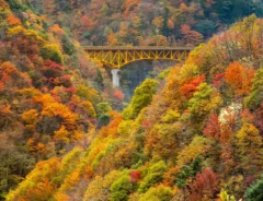 Yuji Shibasakiさん撮影・秩父市 雁坂大橋の写真