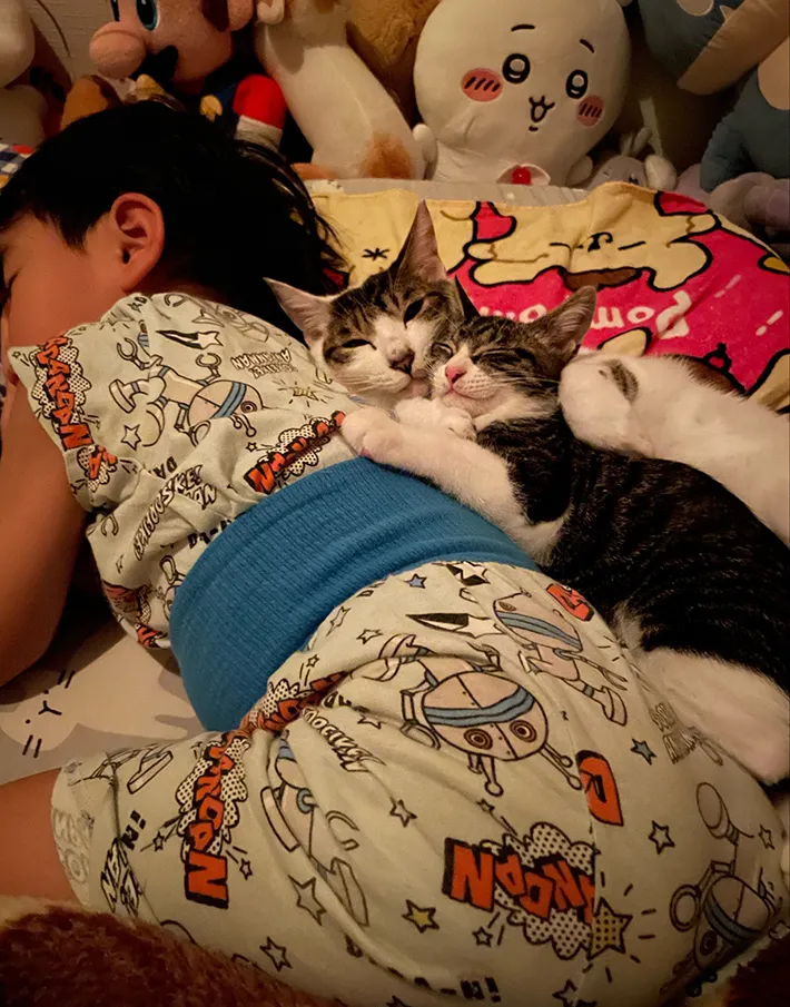 寝ている子供と猫の写真