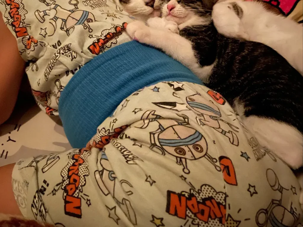 寝ている子供と猫の写真