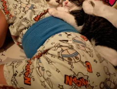 寝ている子供と猫の写真