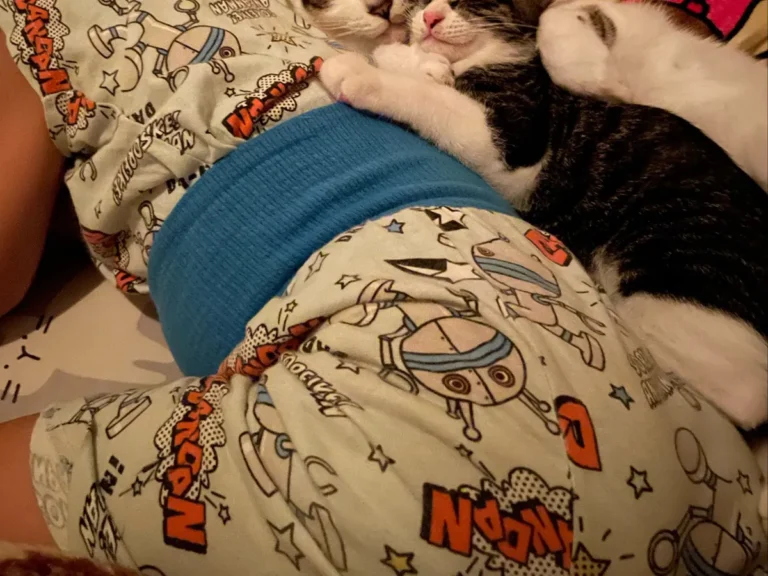 寝ている子供と猫の写真