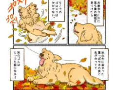かんちさんの漫画画像