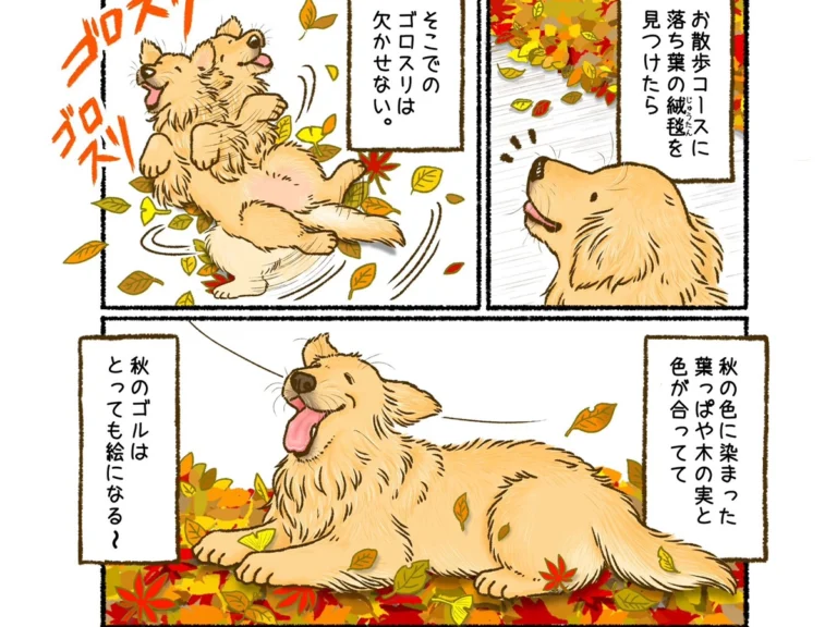 かんちさんの漫画画像