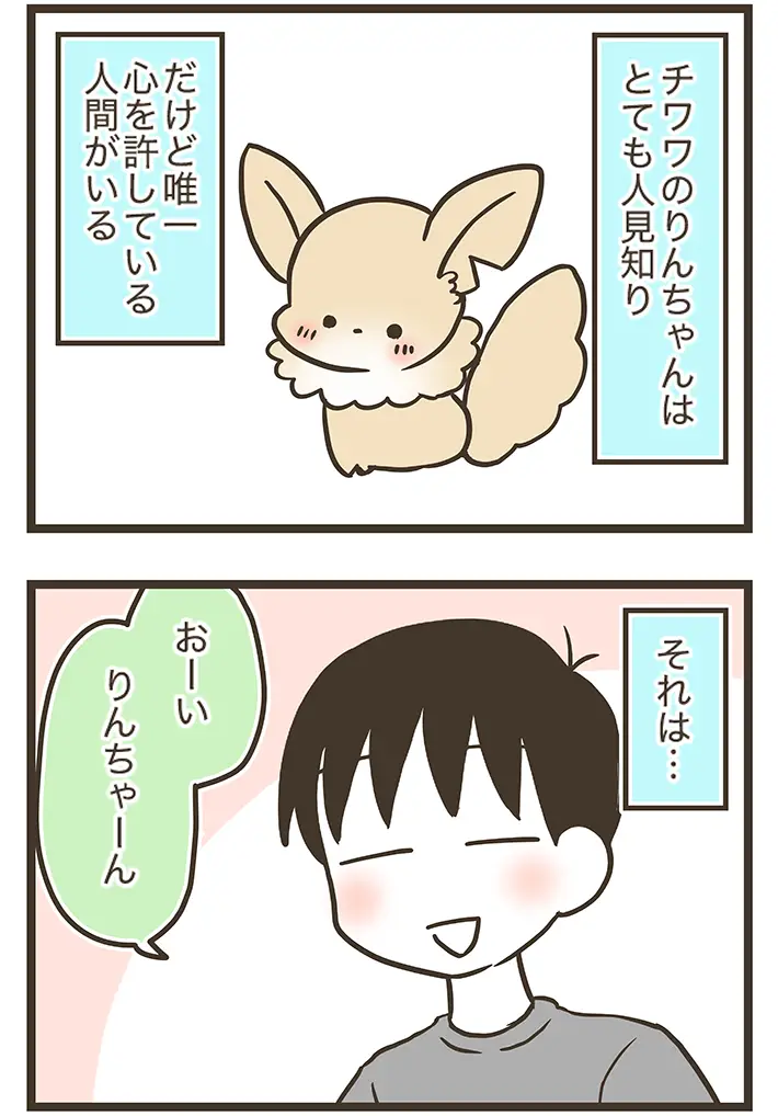 なおたろーさんの連載漫画『おかんとわんこ』第6章前編の画像