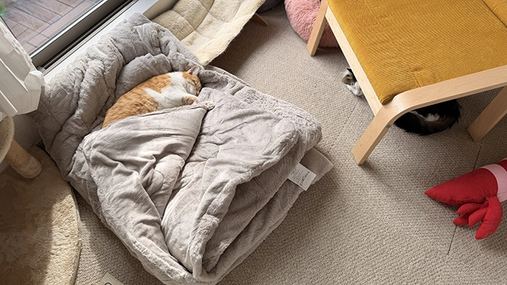 猫がこたつ布団の上で眠る画像